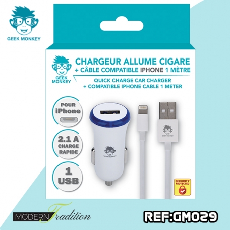 GM-CHARGEUR AC USB/IPHONE 2,1 NOIR + eco 0.04_