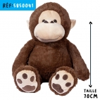 SINGE 70CM