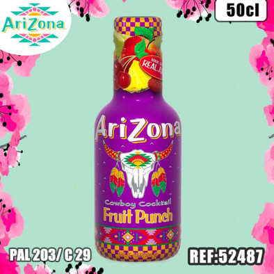 ARIZONA FRUIT PUNCH PET 50 CL dont taxe sucre 0.025€ht