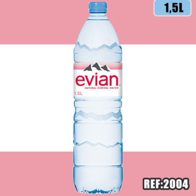 EVIAN 1,5L PET