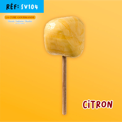 CHOUPETTE CITRON 25g
