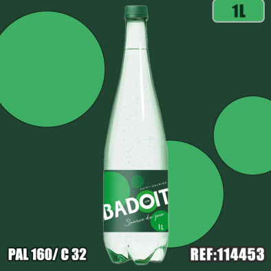 BADOIT VERTE 1L PET