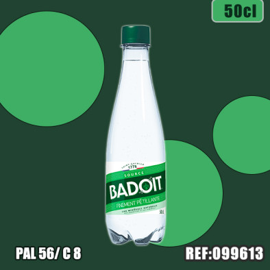 BADOIT VERTE 50CL PET
